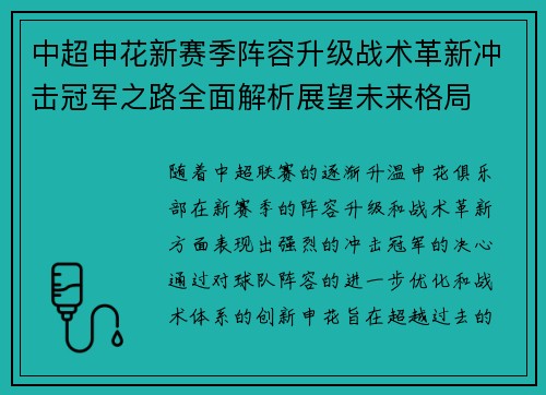 中超申花新赛季阵容升级战术革新冲击冠军之路全面解析展望未来格局