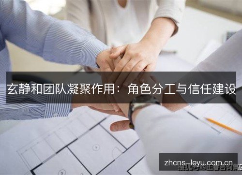 玄静和团队凝聚作用：角色分工与信任建设